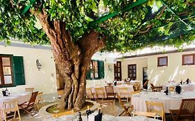 Antica Locanda Al Gelso